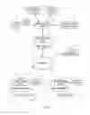 Fig. 02 - Image publishing system using progressive image streaming