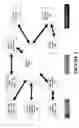 Fig. 04 - Method and system for management and configuration of remote agents