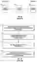 Fig. 02 - Electronic message forwarding