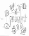 Fig. 06 - Methods, systems, and products for providing communications services amongst multiple providers