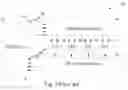 Fig. 02 - VERY LONG INSTRUCTION WORD ARCHITECTURE