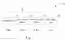 Fig. 08 - VERY LONG INSTRUCTION WORD ARCHITECTURE
