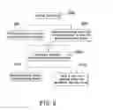 Fig. 05 - Operating method of a multimedia real-time system