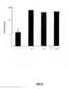 Fig. 09 - Transgenic mice having a human major histocompatability complex (MHC) phenotype, experimental uses and applications