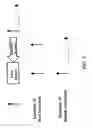 Fig. 04 - Methods and compositions for generating homozygous mutations