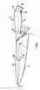 Fig. 02 - Knife with an ergonomic handle