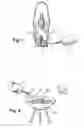 Fig. 02 - Lamp oil composition and lighter fluid composition