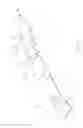 Fig. 03 - Method of guiding plant stem and branch growth
