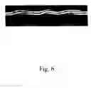 Fig. 10 - Tire for a vehicle wheel including at least one breaker layer