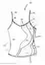 Fig. 01 - Seamless knit garments