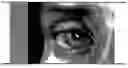 Fig. 01 - Valuable document