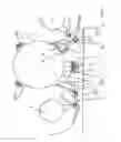 Fig. 03 - Method and device for cooling printing stock and printing presses