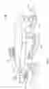 Fig. 08 - Semisubmersible trimaran