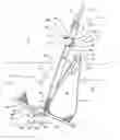 Fig. 01 - Convertible anchor