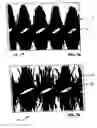 Fig. 06 - Mascara brush
