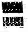 Fig. 07 - Mascara brush