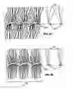 Fig. 09 - Mascara brush