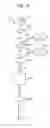 Fig. 08 - High accuracy foamed coaxial cable and method for manufacturing the same