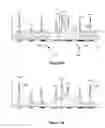 Fig. 08 - Analyte identification in transformed electropherograms