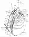 Fig. 01 - Tennis bag