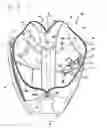 Fig. 06 - Tennis bag