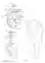 Fig. 06 - Towel holder