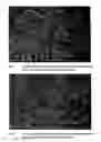 Fig. 04 - Fibrous web and process for the production thereof