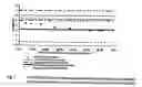 Fig. 05 - Fibrous web and process for the production thereof