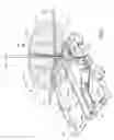 Fig. 06 - Conduit uncoiler
