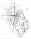 Fig. 07 - Conduit uncoiler
