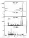 Fig. 09 - Spectrometer provided with pulsed ion source and transmission device to damp ion motion and method of use