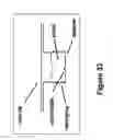 Fig. 32 - Methods and devices for concentration and purification of analytes for chemical analysis including matrix-assisted laser desorption/ionization(MALDI) mass spectrometry (MS)