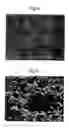 Fig. 06 - Bonded products and methods of fabrication therefor