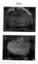 Fig. 07 - Bonded products and methods of fabrication therefor