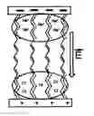 Fig. 01 - Molecular memory device