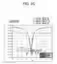 Fig. 06 - Organic electroluminescence display device and method for fabricating the same