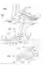 Fig. 02 - Article of footwear comprising a unitary support structure and method of manufacture