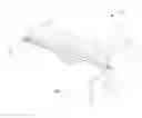 Fig. 02 - PAPER-FEEDING DEVICE WITH AUTOMATIC PAPER DETECTING FUNCTION