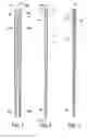 Fig. 02 - Eating utensils having internal chambers storing liquid condiments