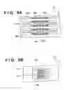 Fig. 07 - Coil support unit, motor and exposure apparatus using the same, and device manufacturing method