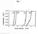 Fig. 02 - Field electron emitting device