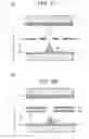 Fig. 03 - Field emission display having an improved emitter structure
