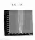 Fig. 16 - Field emission display having an improved emitter structure
