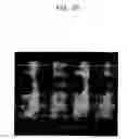 Fig. 08 - Organic electroluminescent display device and method for manufacturing the same