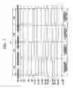 Fig. 08 - AMOLED display and driving method thereof