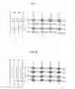 Fig. 05 - Driving method and device of plasma display panel and plasma display device