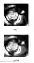 Fig. 02 - Dynamic crop box determination for optimized display of a tube-like structure in endoscopic view (