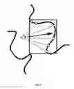 Fig. 08 - Dynamic crop box determination for optimized display of a tube-like structure in endoscopic view (