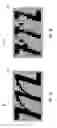 Fig. 11 - Dropout control in subpixel rendering