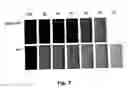 Fig. 06 - Method of inkjet printing in high efficiency production of hygienic articles
